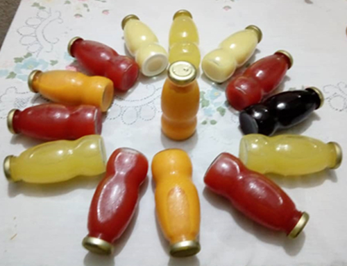 BOUTEILLE SANIFOOD DE 25 CL